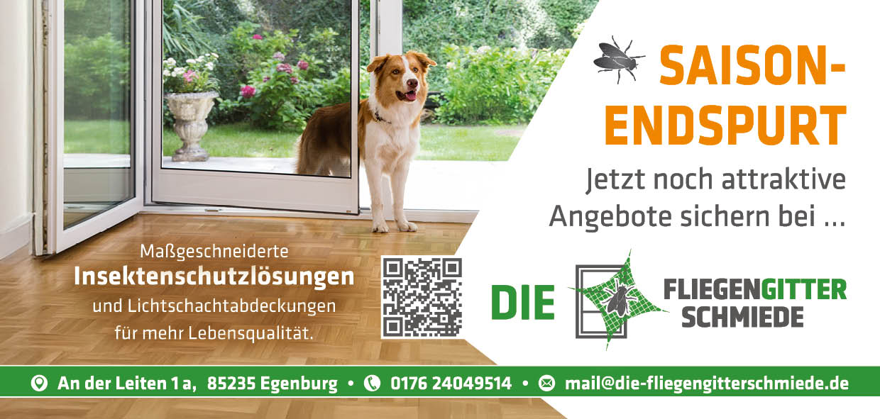 aktionspreis-fliegengitter-1